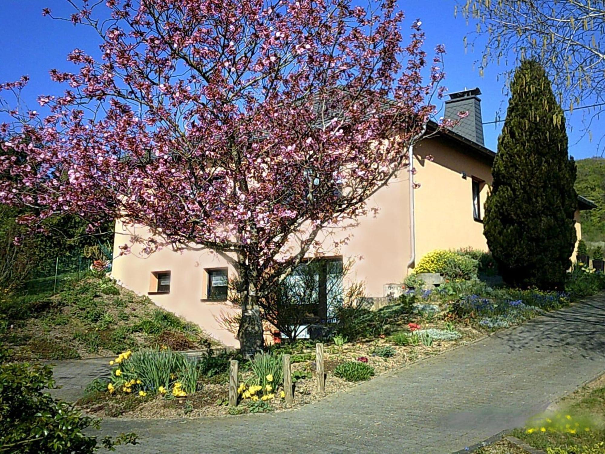 Holiday Home In Olsdorf Bettingen Exterior foto