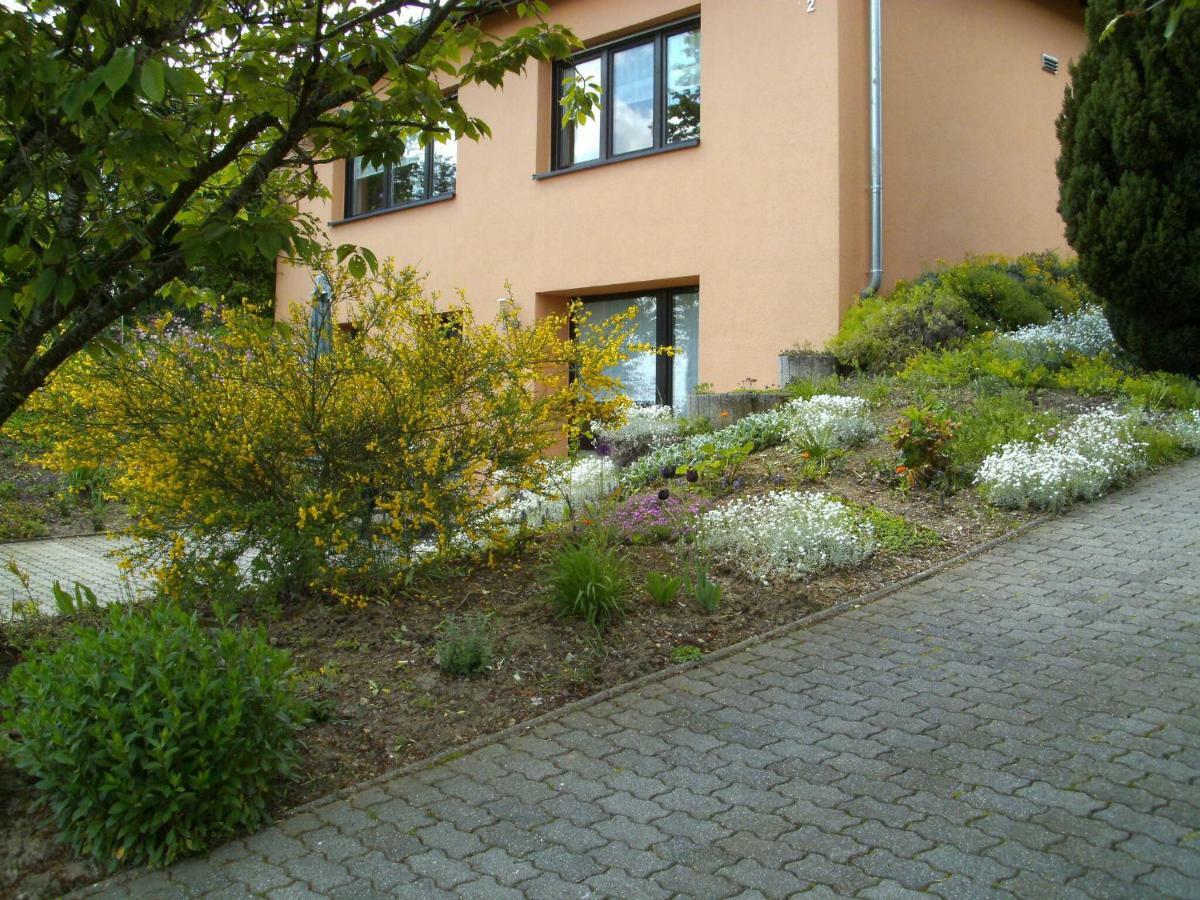 Holiday Home In Olsdorf Bettingen Exterior foto